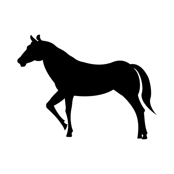 Wild paard silhouet — Stockvector