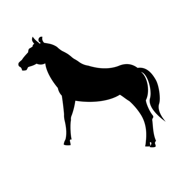 Silhouette de cheval sauvage — Image vectorielle