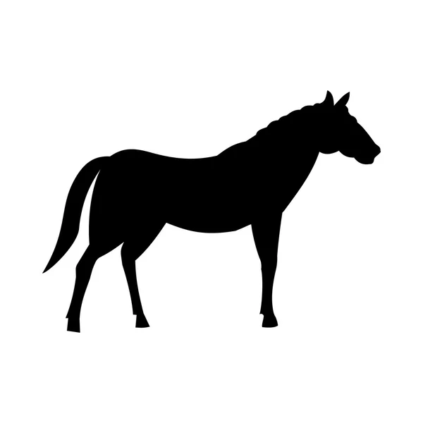 Wild horse silhouette — Stock Vector