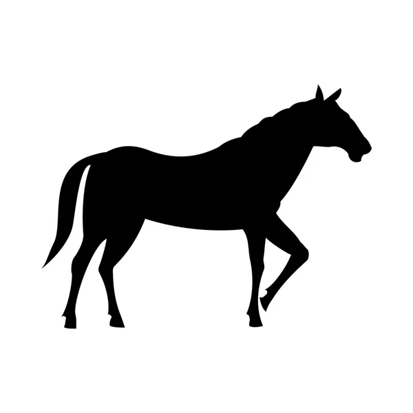 Wild horse silhouette — Stock Vector