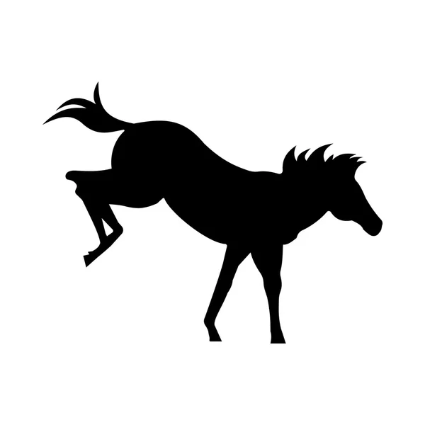 Silhueta de cavalo selvagem — Vetor de Stock
