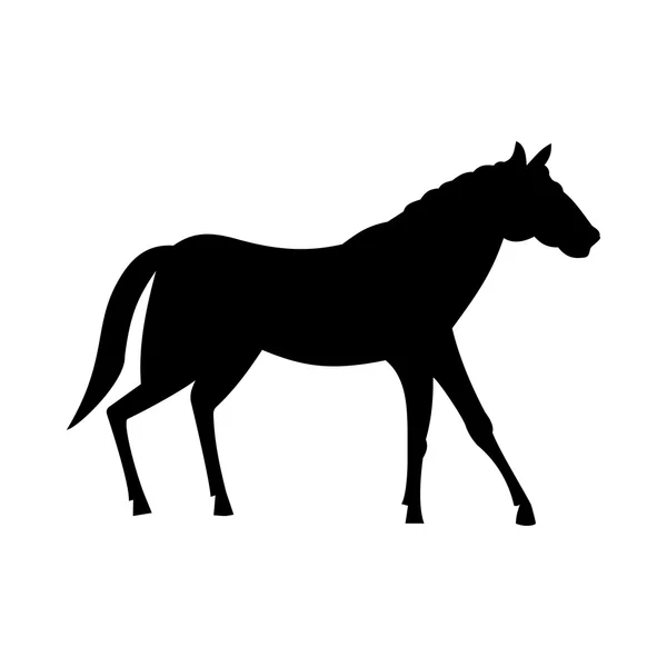 Silueta de caballo salvaje — Vector de stock