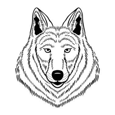 Bir kurt ya da köpek. Posta kartı veya poster için vektör illüstrasyonuName.