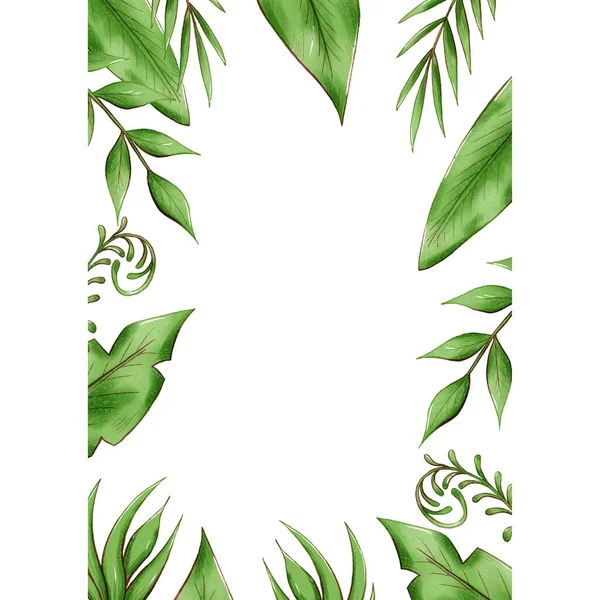 Exóticas folhas tropicais quadro, selva folhagem conjunto isolado no fundo branco. — Fotografia de Stock