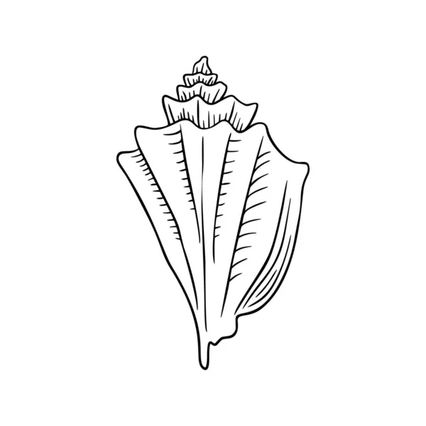 Concha ícone de linha fina, animal e subaquático, gráficos de vetor de sinal de concha, um padrão linear em um fundo branco, eps 10. — Vetor de Stock