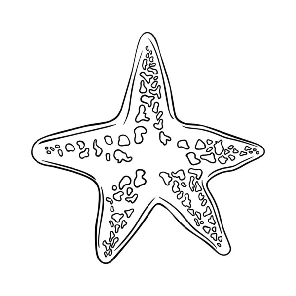 Mão desenhada marinha Starfish natureza oceano aquático subaquático vetor. Ilustração gravada sobre fundo branco. Esboço estrela do mar —  Vetores de Stock