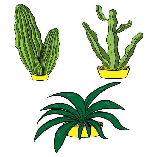 Set de cactus — Archivo Imágenes Vectoriales