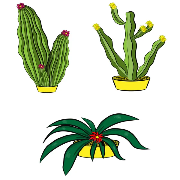 Колекція кактуса з квіткою — стоковий вектор