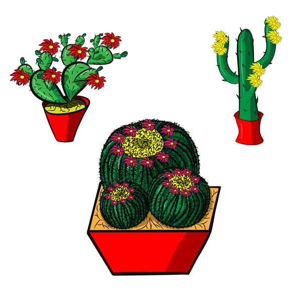 Sammlung Kaktus mit Blume — Stockvektor