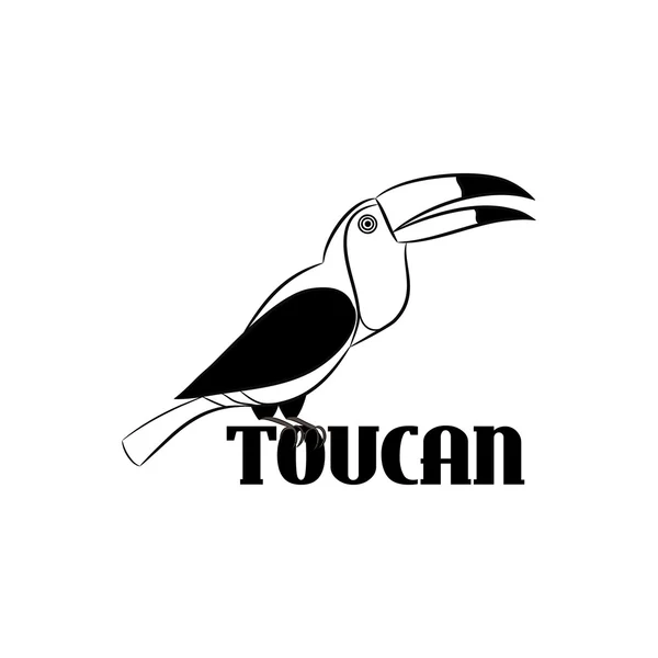 Diseño gráfico de tucán, logotipo — Vector de stock