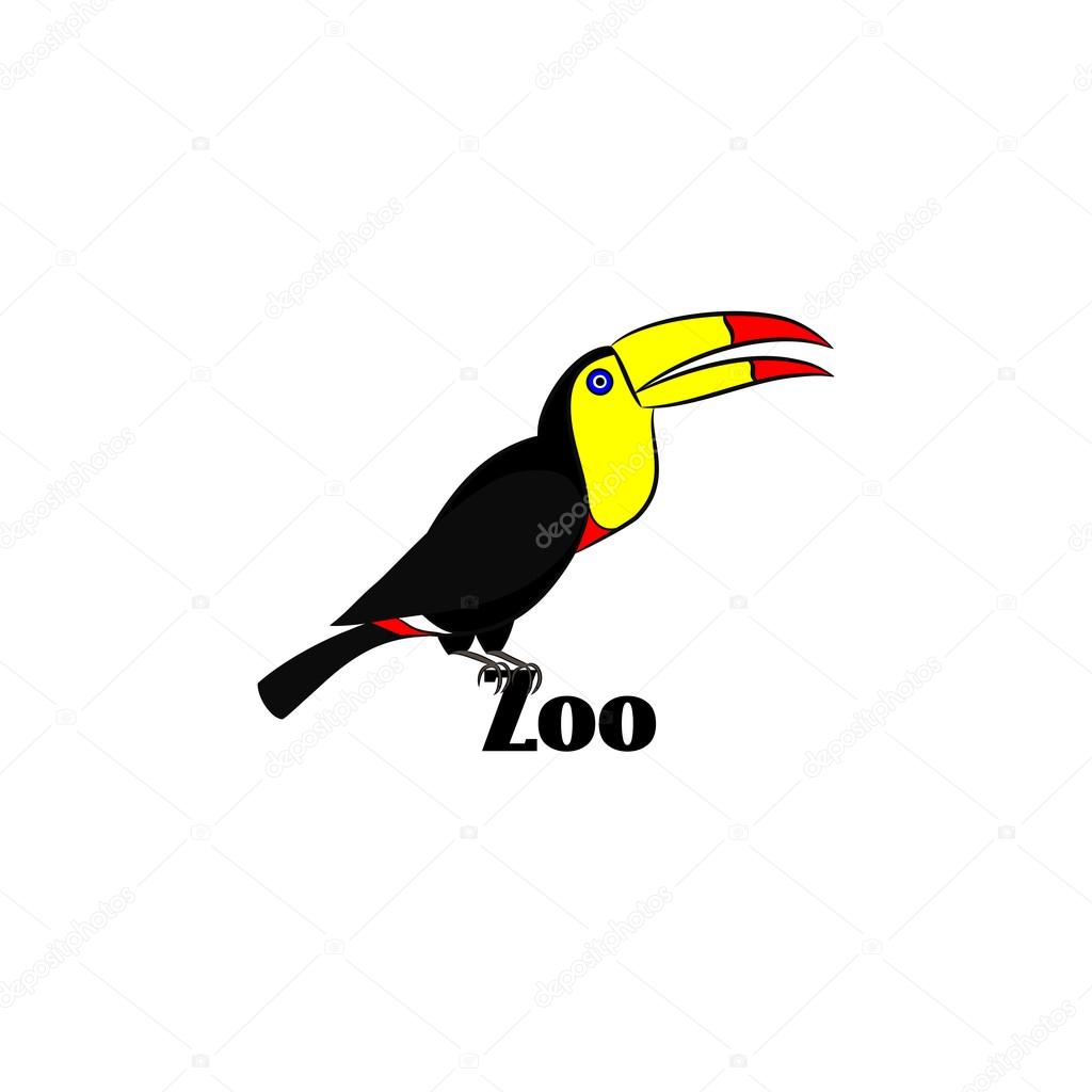 Toucan graphic design , logo for zoo
