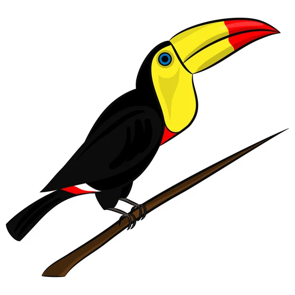 Εικόνα της ένα χαριτωμένο πολύχρωμο toucan κάθεται σε ένα κλαδί δέντρου — Διανυσματικό Αρχείο