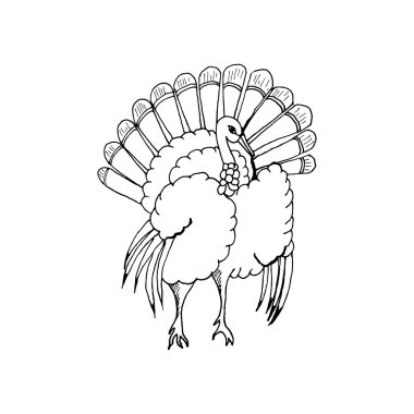 hand draw a turkey in the style of the sketch for the decoration of cards, gifts, textiles, colorings, to celebrate Thanksgiving on a white background