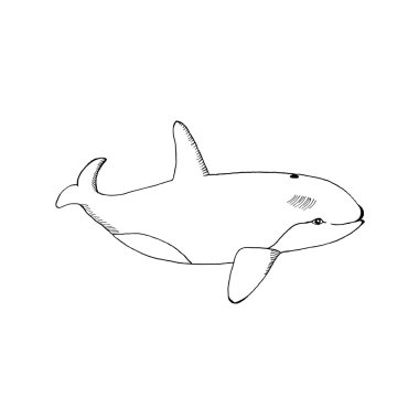 hand draw killer in the style of the sketch to design cards, textiles, coloring, tattoo white