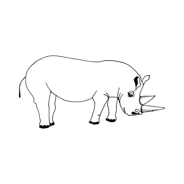 hand draw a sketch in the style of a rhinoceros for registration cards, textiles, coloring, tattoo white