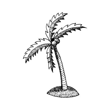 hand draw a palm tree in the style of the sketch to design cards, textiles, coloring, tattoo white