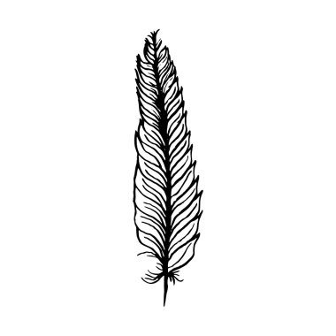 hand draw bird feather style sketch for registration cards, textiles, coloring, tattoo white