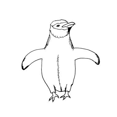 hand draw a penguin in the style of the sketch to design cards, textiles, coloring, tattoo white
