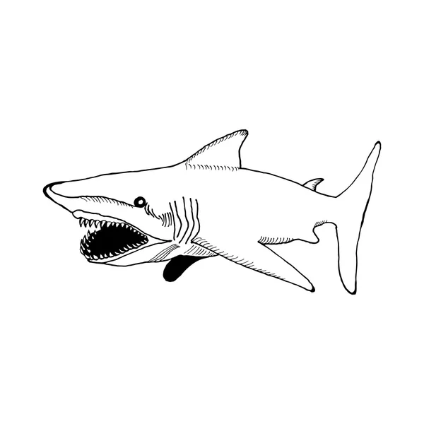 Hand draw a shark with an open mouth and sharp teeth in the style of a sketch for posters, cards, tattoos on a white background — Stok Vektör