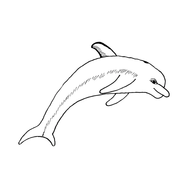 Hand zeichnen einen Delphin springen im Stil der Skizze, um Karten, Poster, Malbücher auf weißem Hintergrund zu entwerfen — Stockvektor