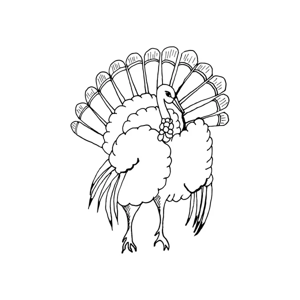 Dessiner à la main une dinde dans le style du croquis pour la décoration de cartes, cadeaux, textiles, colorants, pour célébrer Thanksgiving sur un fond blanc — Image vectorielle