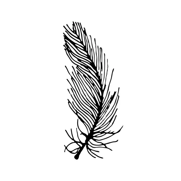 Hand draw bird feather style sketch for registration cards, textiles, coloring, tattoo white — 스톡 벡터