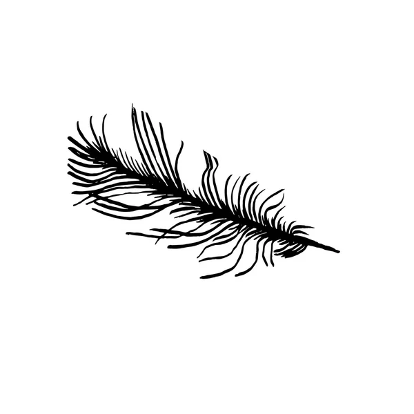 Dibujo a mano pluma de pájaro estilo boceto para tarjetas de registro, textiles, colorear, tatuaje blanco — Vector de stock