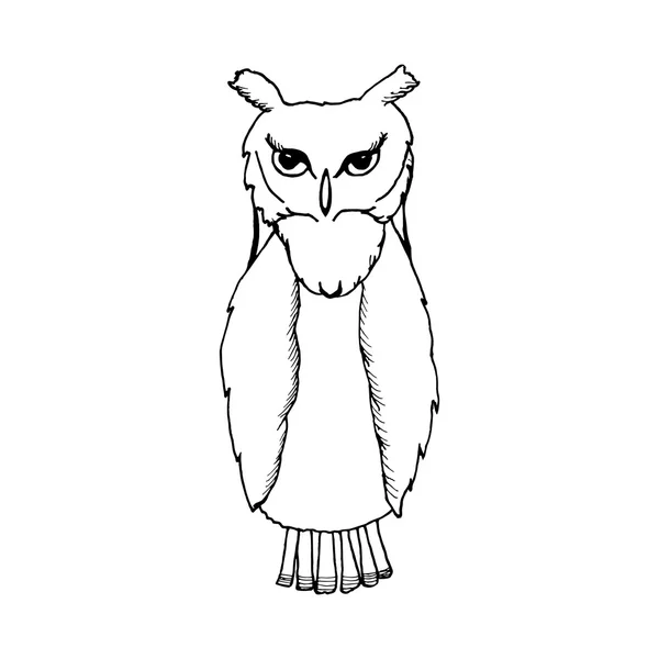 Hand draw an owl in the style of the sketch to design cards, textiles, coloring, tattoo white — Stockový vektor