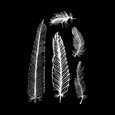 hand draw set of feathers on a black background