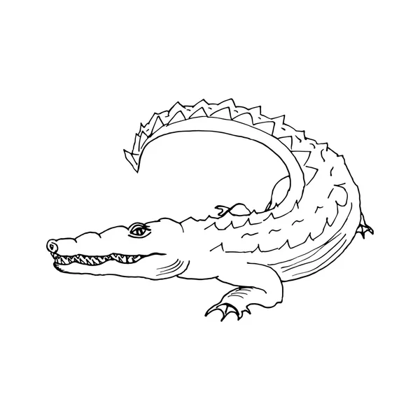 Dessiner à la main un croquis de style crocodile — Image vectorielle