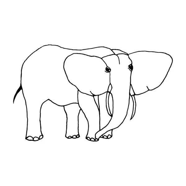Mão desenhar um esboço no estilo de um elefante — Vetor de Stock