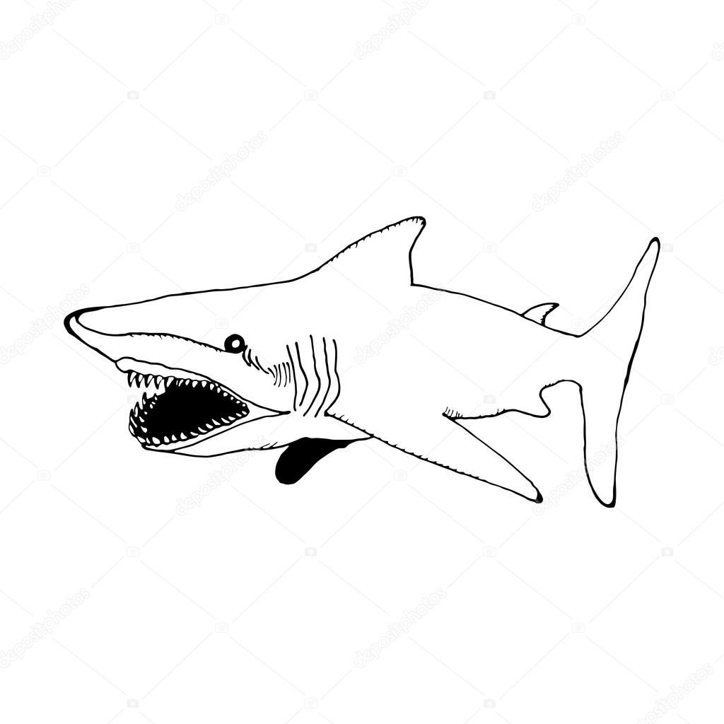 Uno squalo di tiraggio della mano nello stile di uno schizzo su un fondo bianco e nero usato per striscioni volantini libri da colorare