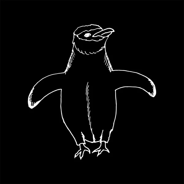 Mano monocromática dibujar un boceto al estilo pingüino — Archivo Imágenes Vectoriales