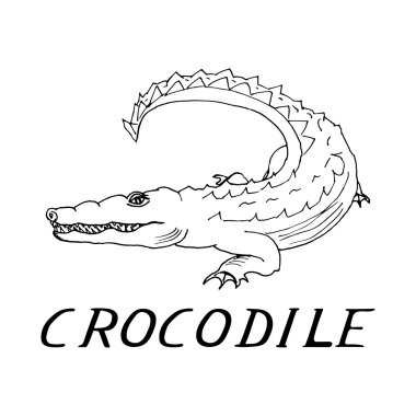 el bir timsah tarzı kroki çizmek