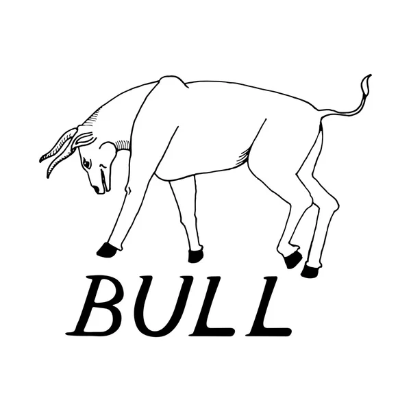 Ręki narysować rysunek styl byka — Wektor stockowy