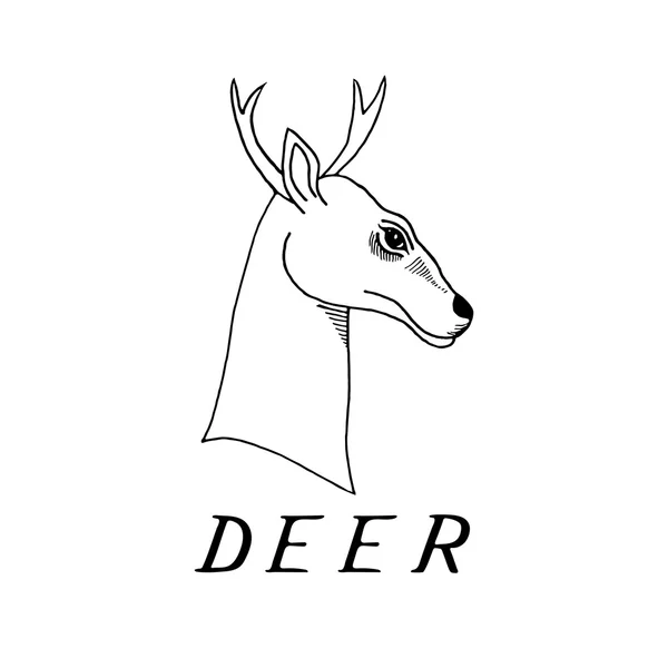 Rękę wyciągnąć głowę jelenia poroże — Wektor stockowy