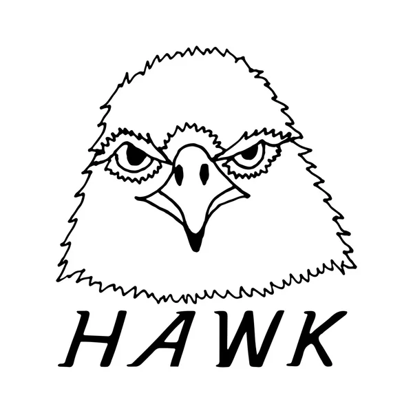 Ruční kreslení hawk hlavy — Stockový vektor