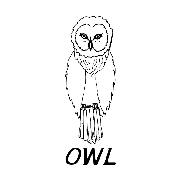 Hand draw a sketch in the style of an owl — Stock Vector