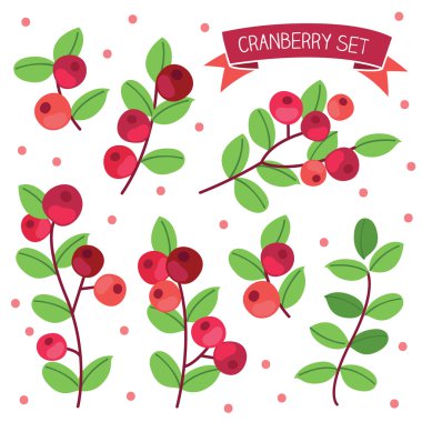 Kızılcık dalları kümesi