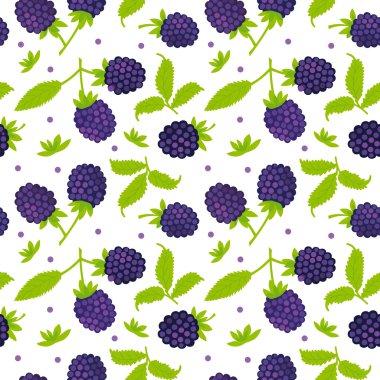 beyaz arka plan üzerinde böğürtlen dikişsiz desen.