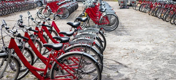 Rote Fahrräder Stehen Reihenweise Fahrradverleih — Stockfoto