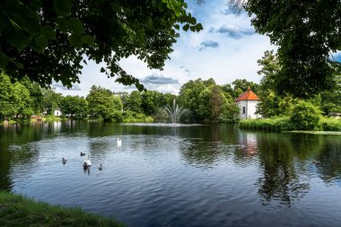 Zwierzyniec, Roztocze, Polonya 'daki gölet manzarası çok güzel. Park ve arka plandaki Nepomuk Kilisesi 'nin ünlü St. John' s 'u. Önplanda bir grup kuğu.