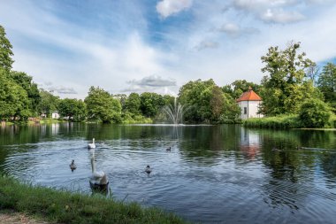 Zwierzyniec, Roztocze, Polonya 'daki gölet manzarası çok güzel. Park ve arka plandaki Nepomuk Kilisesi 'nin ünlü St. John' s 'u. Önplanda bir grup kuğu.