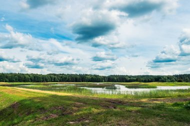 Echo Gölü, Zwierzyniec, Lubelskie, Polonya 'nın güzel manzarası. Göl, çayır, orman ve bulutlu gökyüzünün panoramik resmi.