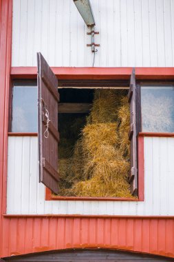 Atın ahırına açılan kapı. Ahırda saman balyaları var. Beyaz ve kırmızı boyalı yükseklik, ahşap çiftlik binası..