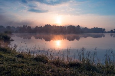 Beautiful view at the lake surrounded by trees and rushes, illuminated by evening sun. Krasnobrod, Roztocze, Poland. 