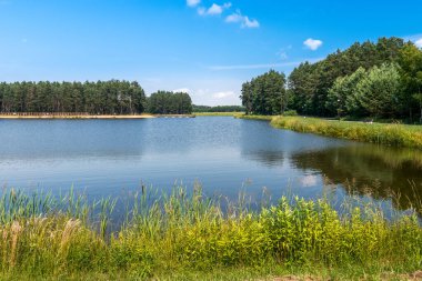 View at the lake in Jacnia, Roztocze, Poland. Trees and beach in the background.