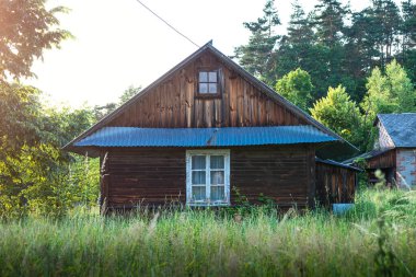 Eski, ahşap çiftlik evi, kırsal kesimde, yazın ağaçların arasında. Krasnobrod, Roztocze, Polonya.