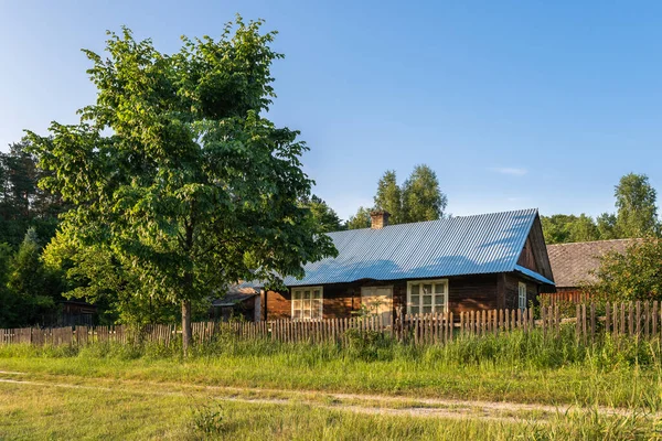 Starý Dřevěný Statek Který Nachází Venkově Mezi Stromy Létě Krasnobrod — Stock fotografie