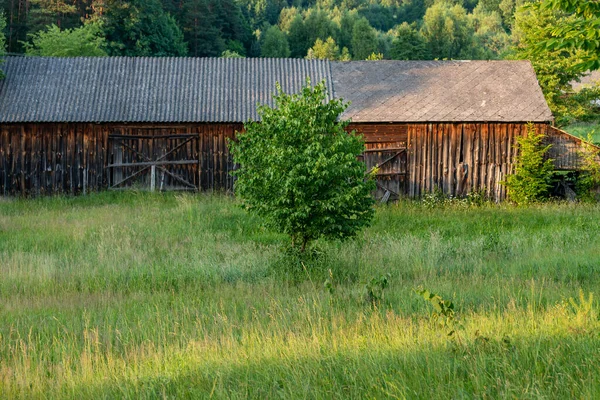 Stara Drewniana Stodoła Usytuowana Pomiędzy Zielonymi Drzewami Łące Las Tle — Zdjęcie stockowe